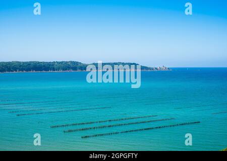 Francia, Cotes d'Armor, Saint-Cast-le-Guildo, allevamento di mussel nella baia di la Fresnaye lungo il sentiero GR 34 o sentiero doganale Foto Stock