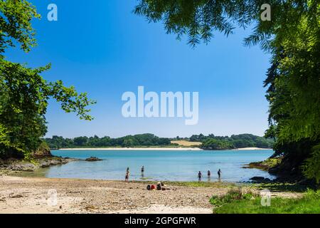 Francia, Cotes d'Armor, Saint-Cast-le-Guildo, insenatura nella baia di Arguenon lungo il sentiero GR 34 o sentiero doganale Foto Stock