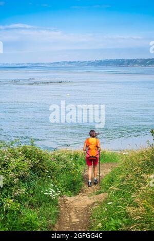 Francia, Cotes d'Armor, Hillion, Riserva Naturale della Baia di Saint-Brieuc, escursione lungo il sentiero GR 34 o sentiero doganale Foto Stock