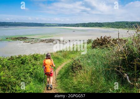 Francia, Cotes d'Armor, Hillion, Riserva Naturale della Baia di Saint-Brieuc, baia di Bon Abri, escursione lungo il sentiero GR 34 o sentiero doganale Foto Stock