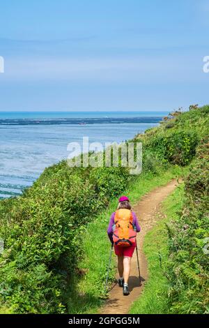 Francia, Cotes d'Armor, Hillion, Riserva Naturale della Baia di Saint-Brieuc, escursione lungo il sentiero GR 34 o sentiero doganale Foto Stock