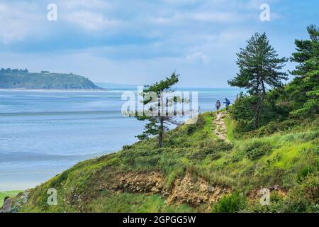 Francia, Cotes d'Armor, Hillion, Riserva Naturale della Baia di Saint-Brieuc, escursione lungo il sentiero GR 34 o sentiero doganale Foto Stock