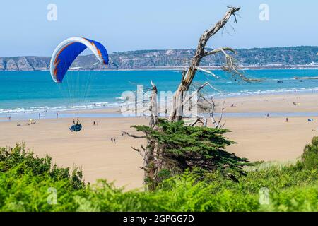 Francia, Cotes d'Armor, Pleneuf-Val-Andre, parapendio che vola sulla spiaggia di Ville de Berneuf lungo il sentiero GR 34 o sentiero doganale Foto Stock