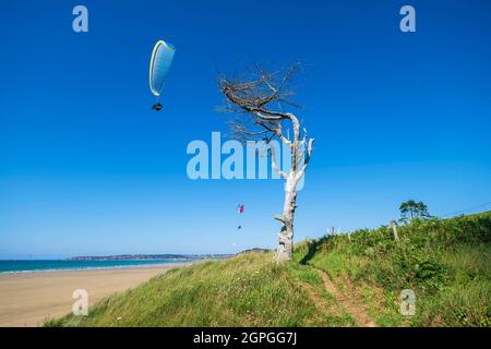 Francia, Cotes d'Armor, Pleneuf-Val-Andre, parapendio volare sulla spiaggia di Nantois lungo il sentiero GR 34 o sentiero doganale Foto Stock