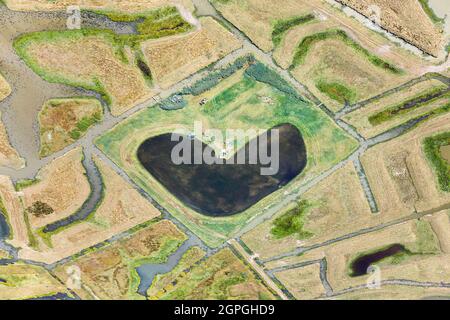 Francia, Charente Maritime, Saint Just Luzac, caccia cieca nelle paludi (vista aerea) Foto Stock