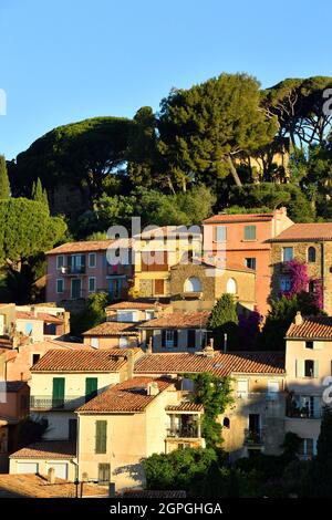 Francia, Var, Bormes les Mimosas, l'antico borgo medievale Foto Stock