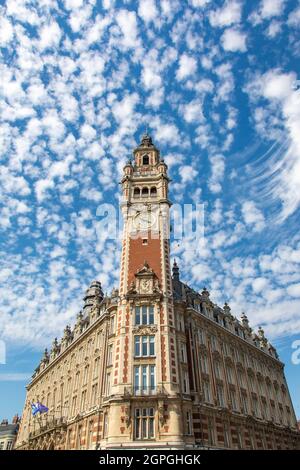 Francia, Nord, Lille, la piazza del teatro, torre campanaria della Camera di Commercio e Industria di Lille (CCI) Foto Stock