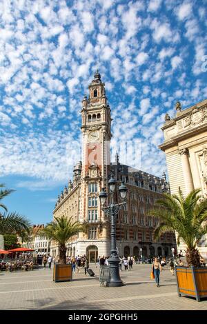 Francia, Nord, Lille, la piazza del teatro, torre campanaria della Camera di Commercio e Industria di Lille (CCI) Foto Stock