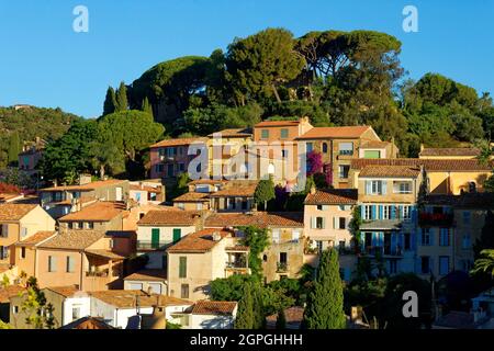 Francia, Var, Bormes les Mimosas, l'antico borgo medievale Foto Stock