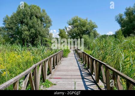 Croazia, Slavonia, Kopacki Rit parco naturale elencato come riserva della biosfera dall'UNESCO Foto Stock