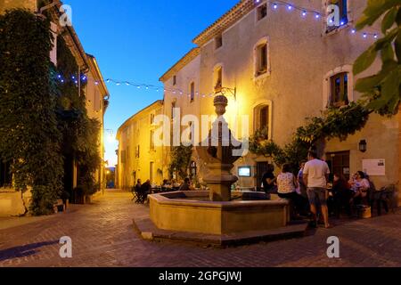 Francia, Vaucluse, Venasque, etichettato Les Plus Beaux Villages de France (i più bei villaggi di Francia), Place de la fontaine (piazza della fontana) Foto Stock