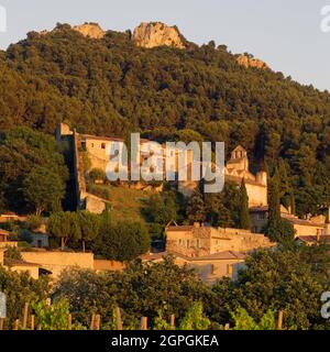 Francia, Vaucluse, Dentelles de Montmirail, Gigondas, villaggio e vigneto di Gigondas ai piedi dei Dentelles de Montmirail Foto Stock