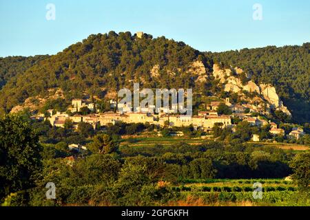 Francia, Vaucluse, Pays des Dentelles de Montmirail distretto, il borgo medievale di Seguret, etichettato Les Plus Beaux Villages de France (i più bei villaggi di Francia) Foto Stock