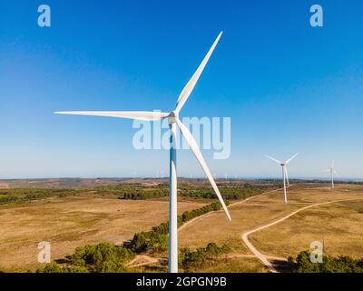 Portogallo, Algarve, Sagres, turbine eoliche (vista aerea) Foto Stock