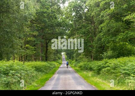 Francia, Calvados, zona di Ferriere-Harang Foto Stock