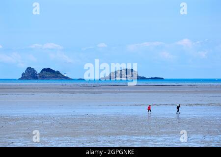 Francia, Ille et Vilaine, Costa Smeralda, Mont Saint Michel Bay, patrimonio mondiale dell'UNESCO, Saint Benoît des Ondes, pescatori a piedi nella baia con la bassa marea, isola delle Rimains in background Foto Stock