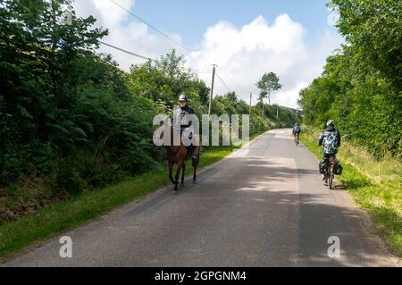 Francia, Calvados, zona Souleuvre en Bocage Foto Stock