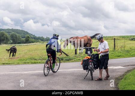 Francia, Calvados, zona Souleuvre en Bocage Foto Stock