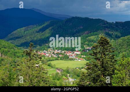 Francia, Alto Reno (68), Hautes Vosges, Parco Naturale Regionale dei Ballons des Vosges, Urbes Foto Stock