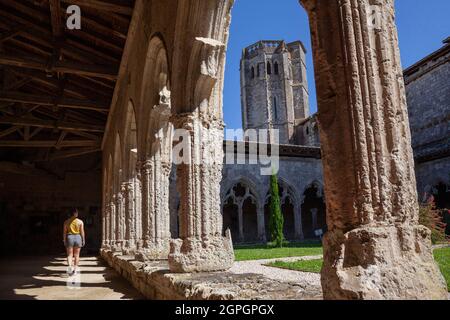 Francia, Gers, la Romieu, etichettato Les Plus Beaux Villages de France (i villaggi più belli di Francia), sosta sulla strada per Saint Jacques de Compostelle, patrimonio mondiale dell'UNESCO, chiostro della chiesa collegiata Foto Stock