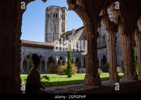 Francia, Gers, la Romieu, etichettato Les Plus Beaux Villages de France (i villaggi più belli di Francia), sosta sulla strada per Saint Jacques de Compostelle, patrimonio mondiale dell'UNESCO, chiostro della chiesa collegiata Foto Stock