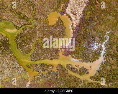 Portogallo, Algarve, Faro, isola o ilha do Farol, ilha da Culatra (vista aerea) Foto Stock