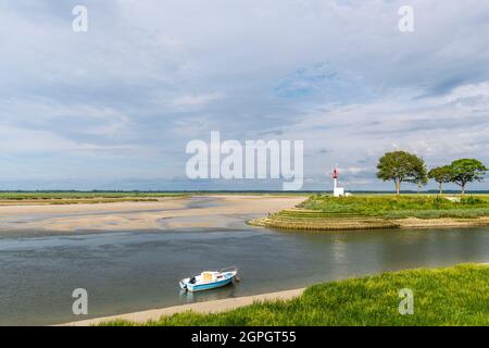 Francia, Somme (80), Baie de Somme, Saint-Valery-sur-Somme, le banchine della Somme Foto Stock