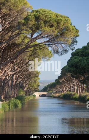 Francia, Aude, Salleles d'Aude, il Canal du Midi, patrimonio mondiale dell'UNESCO Foto Stock