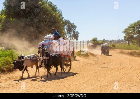 Madagascar, regione di Menabe, massiccio del Bemaraha, fiume Tsiribihina, bello-sur-Tsiribihina, trasporto di merci al porto Foto Stock