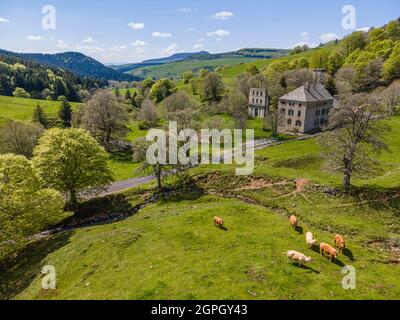 Francia, Ardeche, zona Les Sucs (vecchi vulcani), Parco Naturale Regionale Monts d'Ardeche, le Beage, rovine del 12 ° secolo Bonnefoy Charter casa, Vivarais Foto Stock