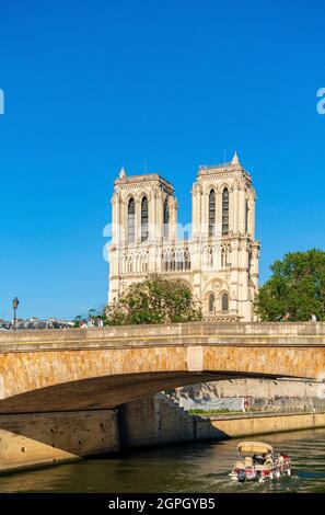 Francia, Parigi, zona dichiarata Patrimonio dell'Umanità dall'UNESCO, le rive della Senna, Notre-Dame de Paris e il Petit pont Foto Stock