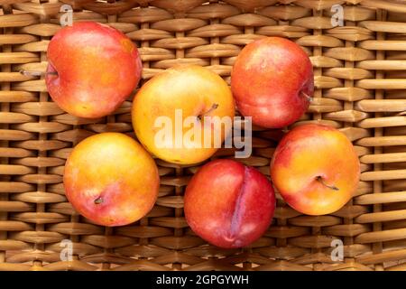 Diverse susine dolci gialle-rosse su un tappeto di vite, primo piano, vista dall'alto. Foto Stock