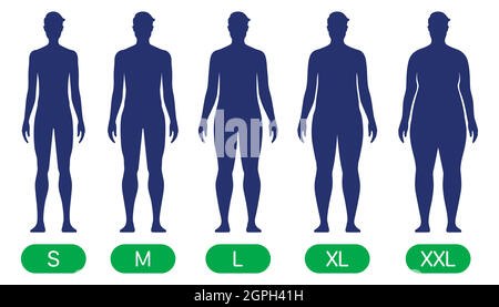 Una persona con diversi tipi di corporatura, da slim a XXL. Grafico vettoriale delle forme del corpo standard. Illustrazione Vettoriale