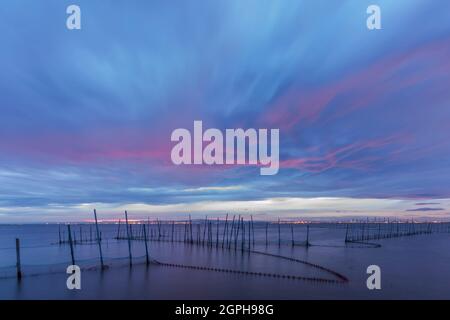 Albufera del Parco naturale di Valencia. Valencia, Spagna. Foto Stock