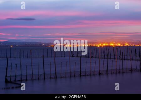 Albufera del Parco naturale di Valencia. Valencia, Spagna. Foto Stock
