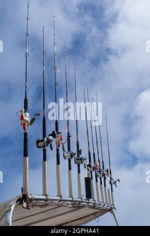 Una linea di dieci canne da pesca a mano su una Cornish Boat a St. Ives Harbour Harbour - UK Foto Stock