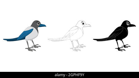 Set di illustrazioni Cartoon di uccelli Magpie . Disegno di ornitologia animale della gabbia in piedi. Clip art vettoriale isolato su sfondo bianco. La collezione contiene silhouette, contorni e disegni a colori. Illustrazione Vettoriale