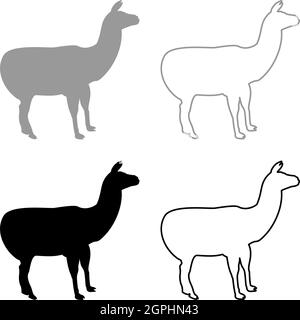Alpaca lama lama lama lama Guanaco silhouette grigio nero colore vettoriale illustrazione tinta unita stile immagine Illustrazione Vettoriale
