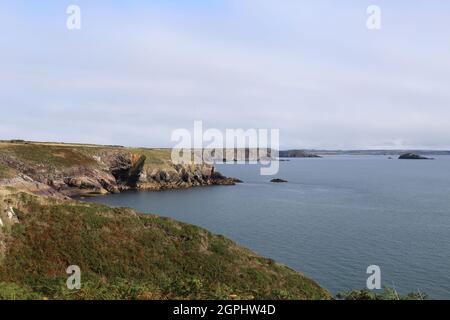 Guardando a est dal National Park Coast Path vicino a Caerfai, Pembrokeshire, Galles, Regno Unito, Regno Unito, Europa Foto Stock