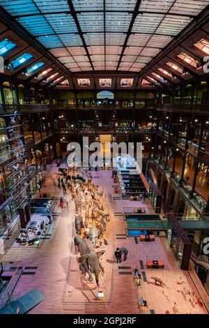 Museo Nazionale di Storia Naturale a Parigi, Francia Foto Stock