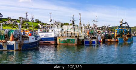 Pescherecci da traino ormeggiati a Keelbeg Pier Union Hall West Cork Ireland Foto Stock