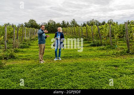 Cantina di Stokkebeye, Nyborg, Danimarca Foto Stock