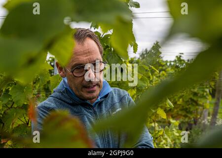 Cantina di Stokkebeye, Nyborg, Danimarca Foto Stock