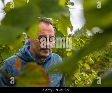 Cantina di Stokkebeye, Nyborg, Danimarca Foto Stock