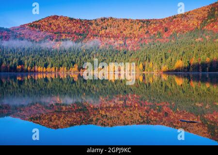 Autunno al lago di Saint Anne. Contea di Harghita, Romania. Foto Stock