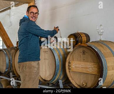 Jakob Stokkebeye presenta i suoi ultimi vini. I principali clienti delle circa 20.000 bottiglie di produzione annuale sono i ristoranti stellari in tutta la Danimarca. Cantina di Stokkebeye, Nyborg, Danimarca Foto Stock