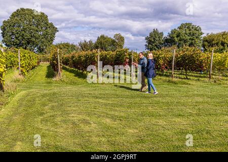 Cantina di Stokkebeye, Nyborg, Danimarca Foto Stock