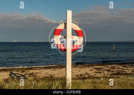 Cintura di sicurezza di fronte al Grande Ponte della cintura (Storebælt), Nyborg, Danimarca Foto Stock