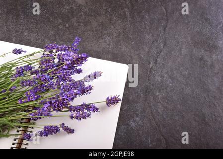 Vista dall'alto del bouquet di lavanda con blocco note vuoto aperto su sfondo di pietra nera, spazio di copia per il testo Foto Stock