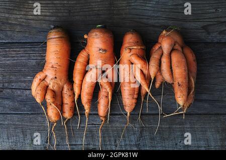 Carote con radici attorcigliate su tavola di legno Foto Stock